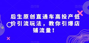 后生原创直通车高投产低价引流玩法，教你引爆店铺流量！-新手副业项目