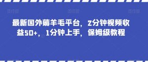 最新国外薅羊毛平台，2分钟视频收益50+，1分钟上手，保姆级教程【揭秘】-新手副业项目