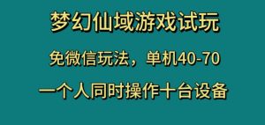 梦幻仙域游戏试玩,免微信玩法,单机40-70,一个人同时操作十台设备【揭秘】-新手副业项目