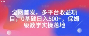 全网首发，多平台收益项目，0基础日入500+，保姆级教学实操落地【揭秘】-新手副业项目