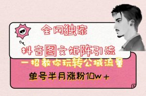 全网独家抖音图文矩阵引流,一招教你玩转公域流量,单号半月涨粉10w+【揭秘】-新手副业项目