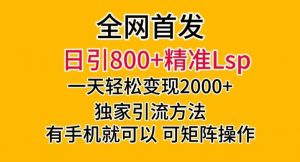 全网首发！日引800+精准老色批，一天变现2000+，独家引流方法，可矩阵操作【揭秘】-新手副业项目