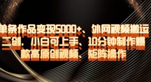 单条作品变现5000+、外网视频搬运二创，小白可上手，10分钟制作爆款高原创视频，矩阵操作【揭秘】-新手副业项目