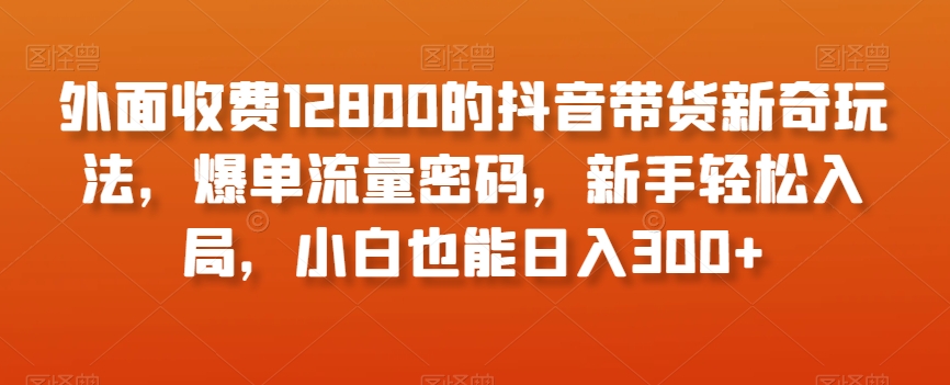 外面收费12800的抖音带货新奇玩法，爆单流量密码，新手轻松入局，小白也能日入300+【揭秘】-新手副业项目
