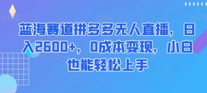 蓝海赛道拼多多无人直播，日入2600+，0成本变现，小白也能轻松上手【揭秘】-新手副业项目