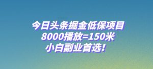 今日头条掘金低保项目，8000播放=150米，小白副业首选【揭秘】-新手副业项目