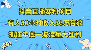 抖音直播暴利项目，有人30小时收入36万音浪，公司宣传片年会视频制作，抓住年底一波流量大红利【揭秘】-新手副业项目