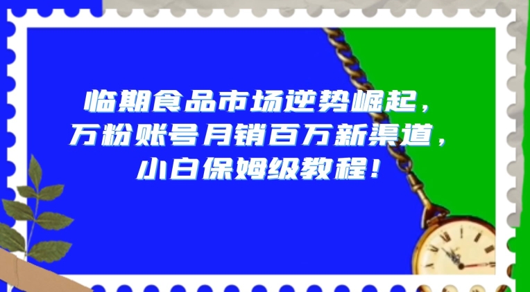 临期食品市场逆势崛起，万粉账号月销百万新渠道，小白保姆级教程【揭秘】-新手副业项目