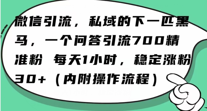 怎么搞精准创业粉？微信新赛道，每天一小时，利用Ai一个问答日引100精准粉-新手副业项目
