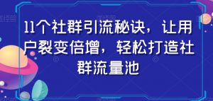 11个社群引流秘诀，让用户裂变倍增，轻松打造社群流量池-新手副业项目
