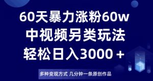 60天暴力涨粉60W，中视频另类玩法，日入3000＋，几分钟一条原创作品多种变现方式-新手副业项目
