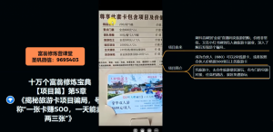 十万个富翁修炼宝典之5.揭秘旅游卡项目骗局，号称“一张卡赚500，一天能卖两三张”-新手副业项目