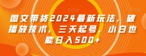 图文带货2024最新玩法，破播放技术，三天起号，小白也能日入500+【揭秘】-新手副业项目