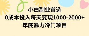小白副业首选，0成本投入，每天变现1000-2000年底暴力冷门项目【揭秘】-新手副业项目