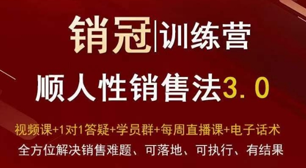 爆款！销冠训练营3.0之顺人性销售法，全方位解决销售难题、可落地、可执行、有结果-新手副业项目