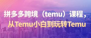 拼多多跨境（temu）课程，从Temu小白到玩转Temu-新手副业项目