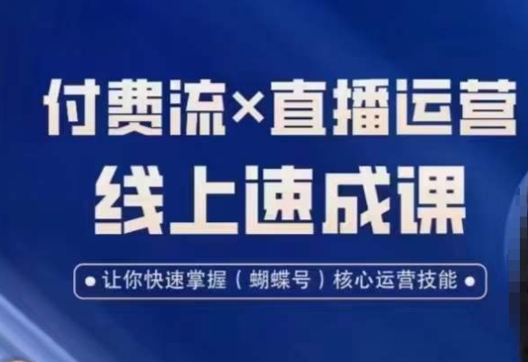 视频号付费流实操课程,付费流✖️直播运营速成课,让你快速掌握视频号核心运营技能-新手副业项目