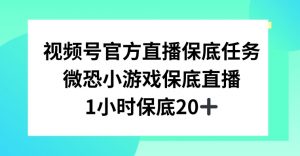 视频号直播任务，微恐小游戏，1小时20+【揭秘】-新手副业项目