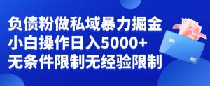 负债粉私域暴力掘金，小白操作入5000，无经验限制，无条件限制【揭秘】-新手副业项目