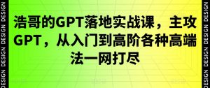 浩哥的GPT落地实战课,主攻GPT,从入门到高阶各种高端法一网打尽-新手副业项目