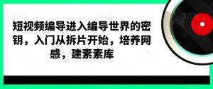 短视频编导进入编导世界的密钥,入门从拆片开始,培养网感,建素素库-新手副业项目