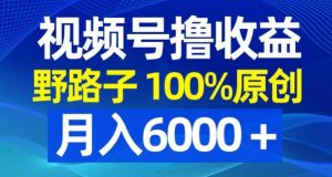 视频号野路子撸收益，100%原创，条条爆款，月入6000＋【揭秘】-新手副业项目