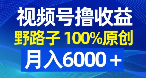 视频号野路子撸收益，100%原创，条条爆款，月入6000＋【揭秘】-新手副业项目