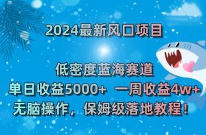 2024最新风口项目,低密度蓝海赛道,单日收益5000+,一周收益4w+!【揭秘】-新手副业项目