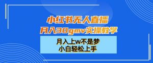 小红书无人直播月入30gmv实操教学，月入上w不是梦，小白轻松上手【揭秘】-新手副业项目