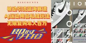 被动引流蓝海赛道，AJ运动用品私域玩法，无限复购年入百万【揭秘】-新手副业项目