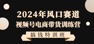 2024年风口赛道视频号电商带货训练营搞钱特训班，带领大家快速入局自媒体电商带货-新手副业项目