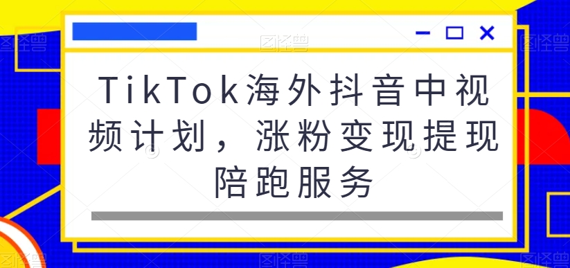 TikTok海外抖音中视频计划，涨粉变现提现陪跑服务-新手副业项目