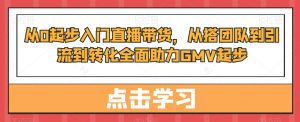 从0起步入门直播带货，​从搭团队到引流到转化全面助力GMV起步-新手副业项目