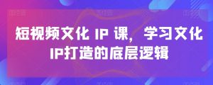 短视频文化IP课，学习文化IP打造的底层逻辑-新手副业项目