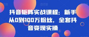 抖音矩阵实战课程：新手从0到100万粉丝，全套抖音变现实操-新手副业项目