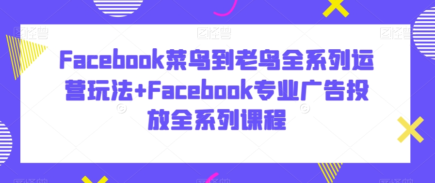 Facebook菜鸟到老鸟全系列运营玩法+Facebook专业广告投放全系列课程-新手副业项目