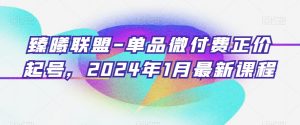 臻曦联盟-单品微付费正价起号，2024年1月最新课程-新手副业项目