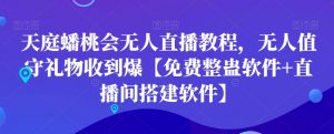 天庭蟠桃会无人直播教程，无人值守礼物收到爆【免费整蛊软件+直播间搭建软件】-新手副业项目