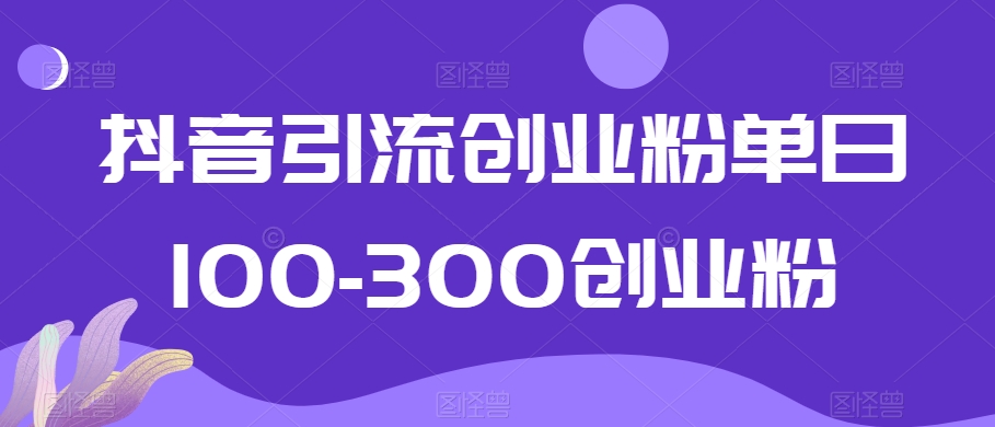 抖音引流创业粉单日100-300创业粉【揭秘】-新手副业项目