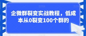 企微群裂变实战教程，低成本从0裂变100个群的-新手副业项目