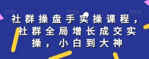 社群实操课程,社群全局增长成交实操,小白到大神-新手副业项目