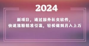 2024新项目，通过国外社交软件，快速涨粉精准引流，轻松做到月入上万【揭秘】-新手副业项目
