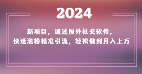2024新项目，通过国外社交软件，快速涨粉精准引流，轻松做到月入上万【揭秘】-新手副业项目
