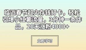 临近春节超火存钱打卡，轻松引爆小红薯流量，3分钟一条作品，20天涨粉4000+【揭秘】-新手副业项目