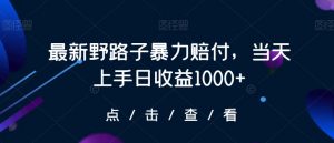 最新野路子暴力赔付，当天上手日收益1000+【仅揭秘】-新手副业项目