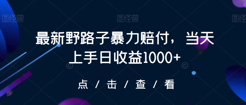 最新野路子暴力赔付，当天上手日收益1000+【仅揭秘】-新手副业项目