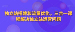 独立站搭建和流量优化，三合一课程解决独立站运营问题-新手副业项目