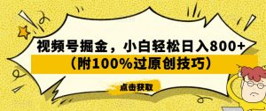 视频号掘金，小白轻松日入800+（附100%过原创技巧）【揭秘】-新手副业项目