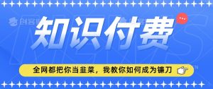 2024最新知识付费项目，小白也能轻松入局，全网都在教你做项目，我教你做镰刀【揭秘】-新手副业项目