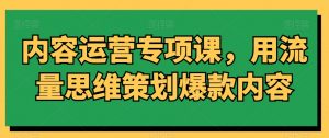 内容运营专项课，用流量思维策划爆款内容-新手副业项目